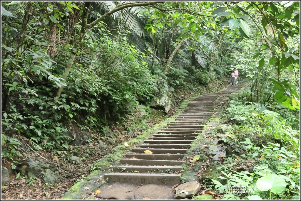 花蓮絕美步道-撒固兒步道-2023-05-21-01.jpg