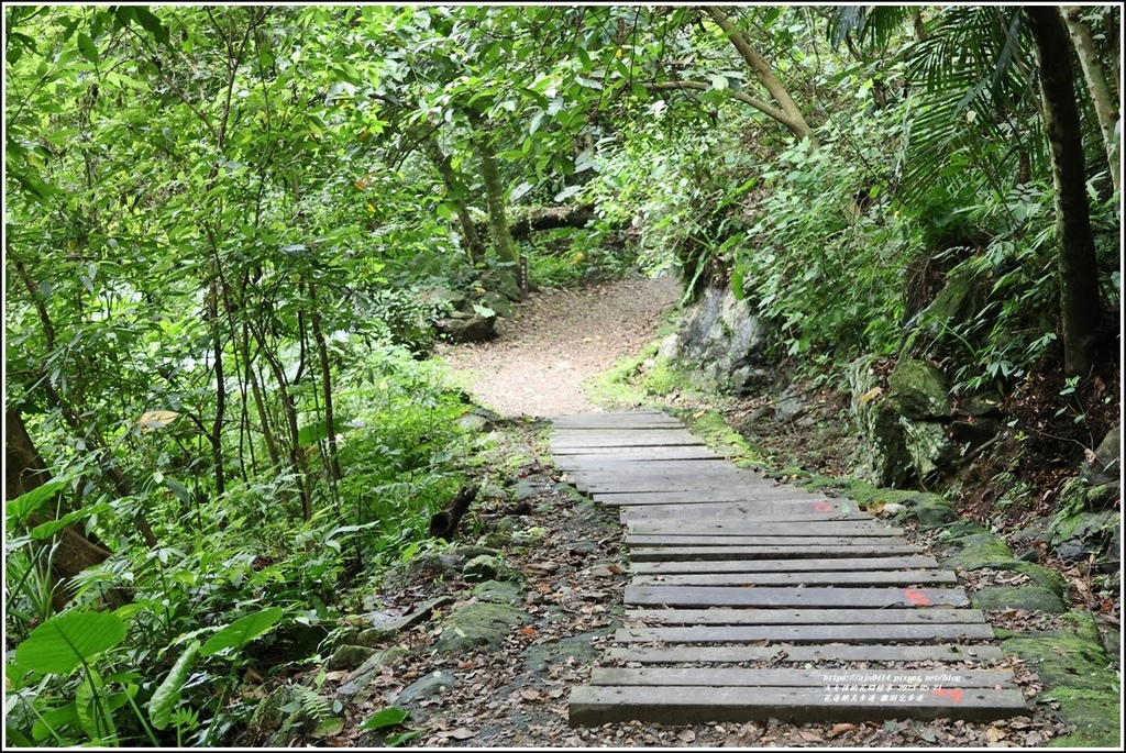 花蓮絕美步道-撒固兒步道-2023-05-21-04.jpg