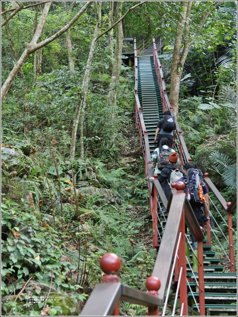 花蓮絕美步道-大禮部落-2023-04-15-05.jpg