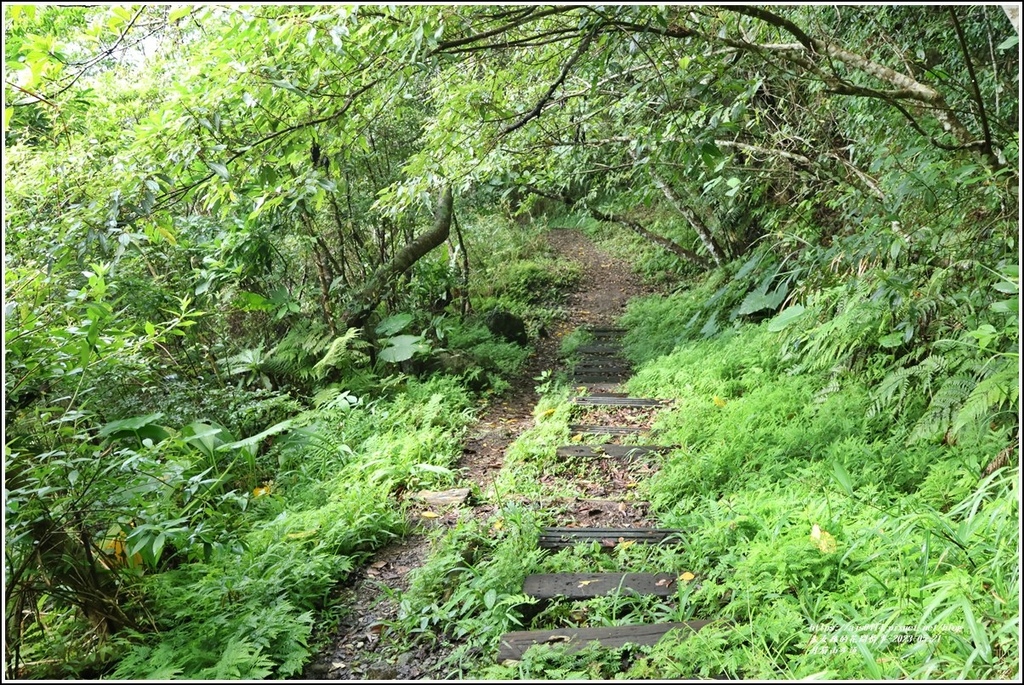 森遊花蓮小百岳-月眉山-2023-5-21-04.jpg
