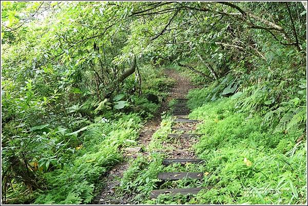 森遊花蓮小百岳-月眉山-2023-5-21-04.jpg