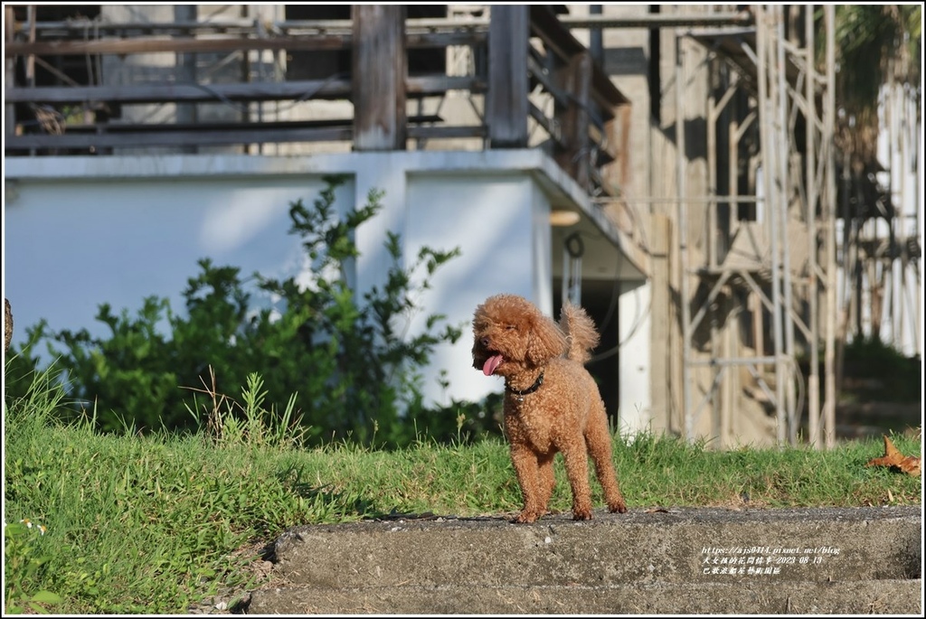 巴歌浪船屋藝術園區-2023-08-13-21.jpg