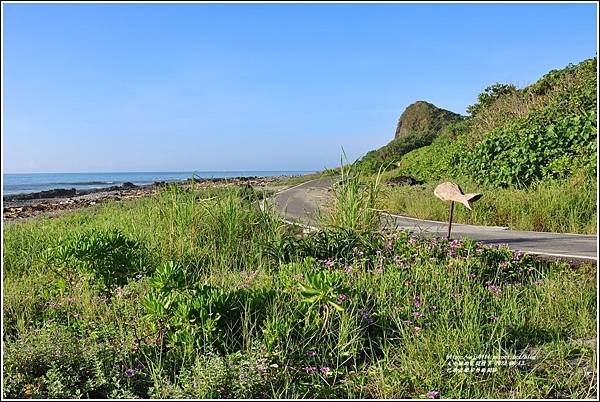 巴歌浪船屋藝術園區-2023-08-13-26.jpg