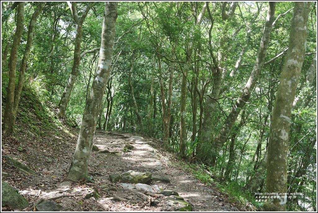 錐麓古道-2023-08-26-28.jpg 錐麓古道-2023-08-26-28.jpg