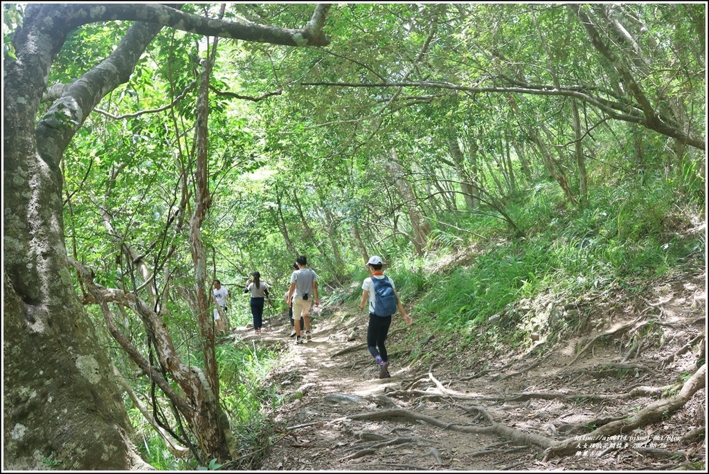 錐麓古道-2023-08-26-38.jpg 錐麓古道-2023-08-26-38.jpg