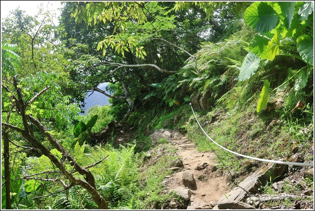 錐麓古道-2023-08-26-43.jpg 錐麓古道-2023-08-26-43.jpg