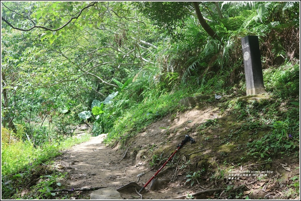 錐麓古道-2023-08-26-42.jpg 錐麓古道-2023-08-26-42.jpg