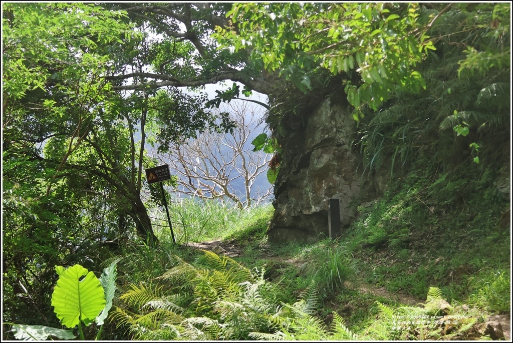 錐麓古道-2023-08-26-49.jpg 錐麓古道-2023-08-26-49.jpg