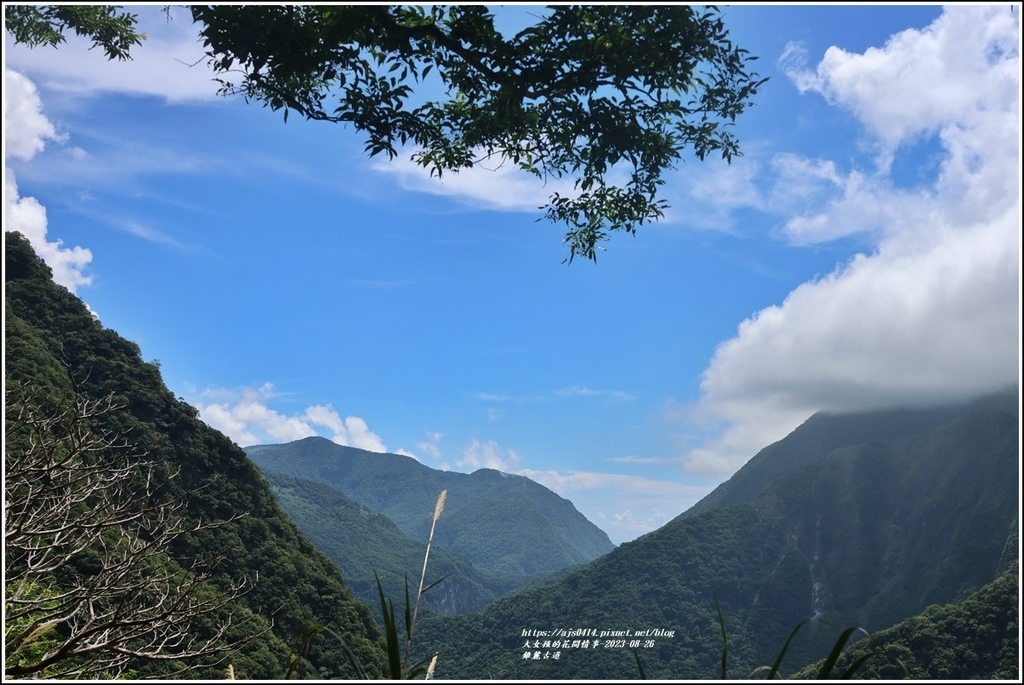 錐麓古道-2023-08-26-51.jpg 錐麓古道-2023-08-26-51.jpg