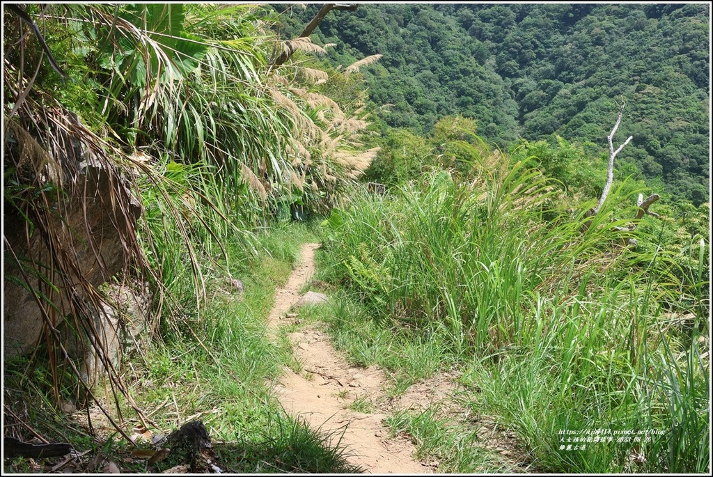 錐麓古道-2023-08-26-52.jpg