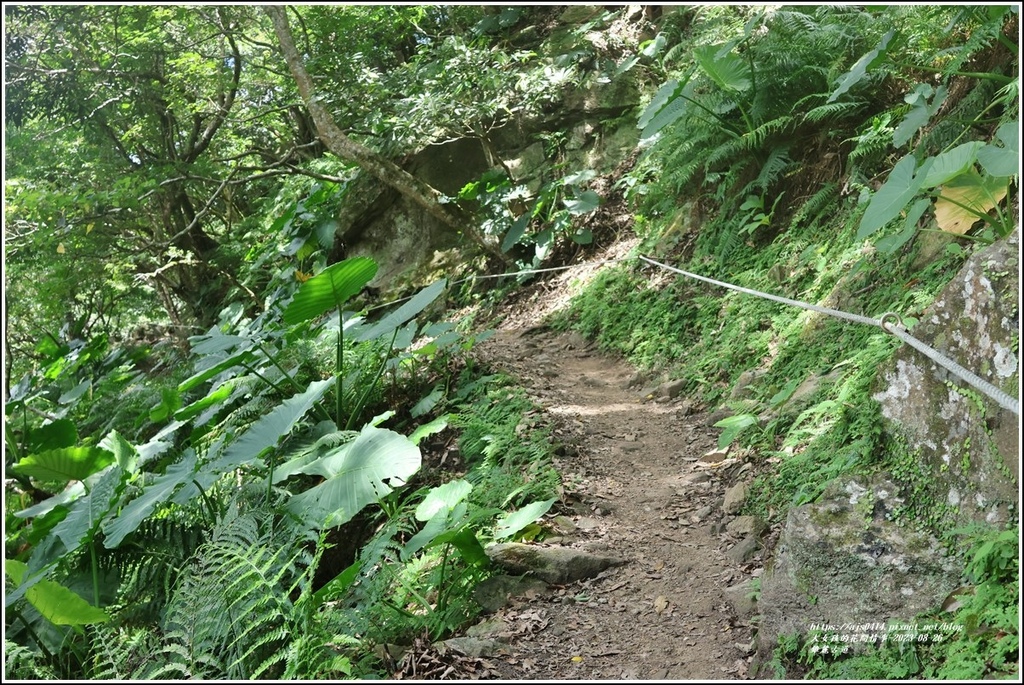 錐麓古道-2023-08-26-56.jpg 錐麓古道-2023-08-26-56.jpg