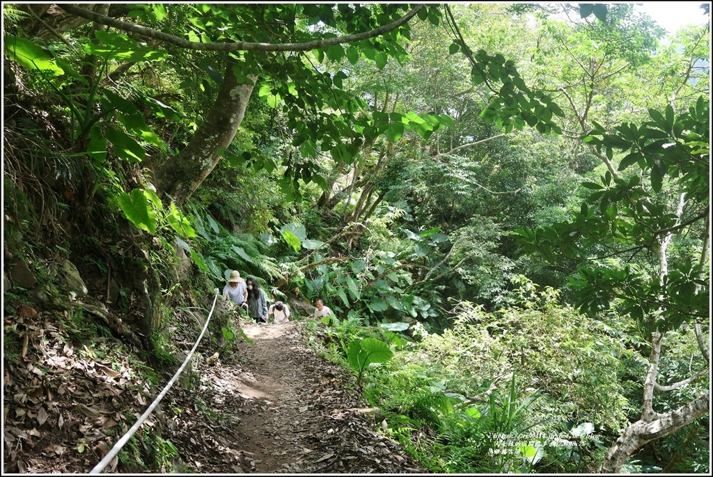 錐麓古道-2023-08-26-55.jpg 錐麓古道-2023-08-26-55.jpg