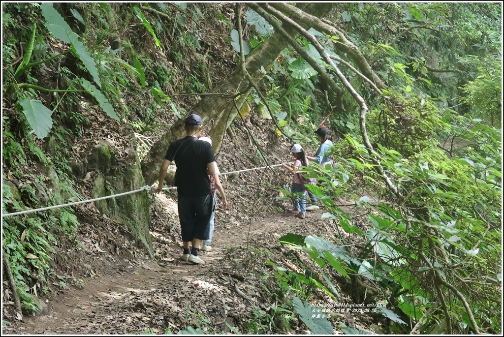 錐麓古道-2023-08-26-57.jpg 錐麓古道-2023-08-26-57.jpg