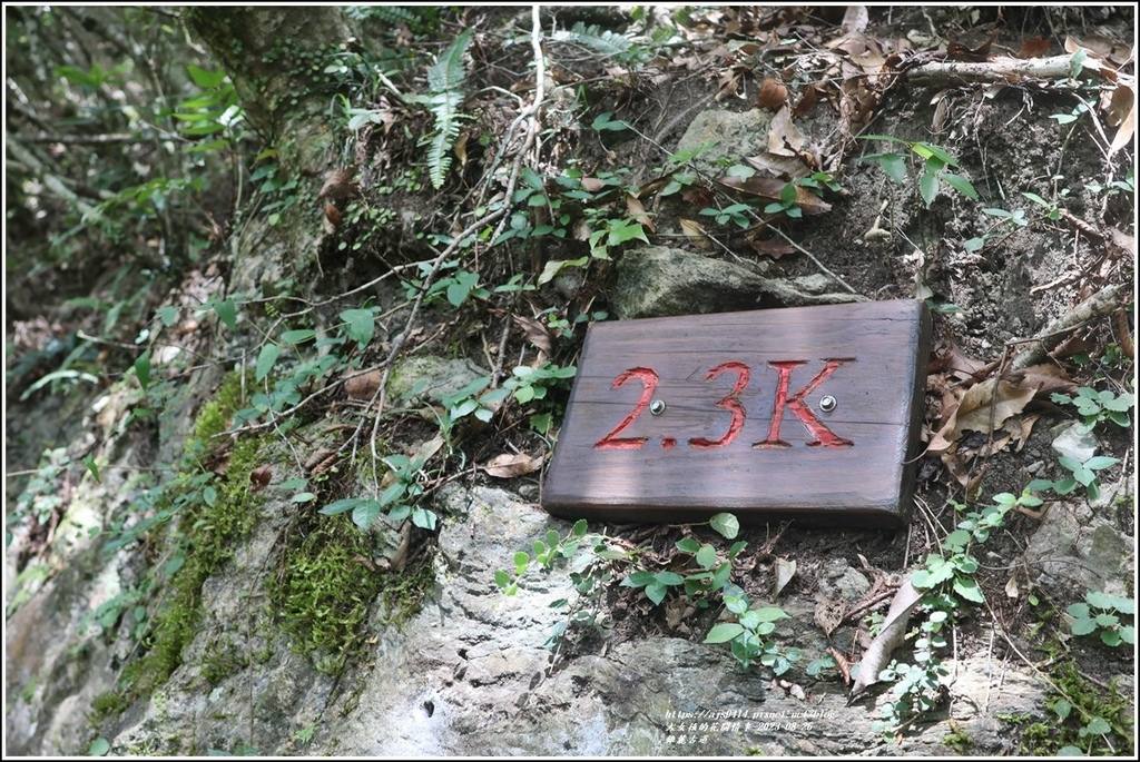 錐麓古道-2023-08-26-60.jpg 錐麓古道-2023-08-26-60.jpg