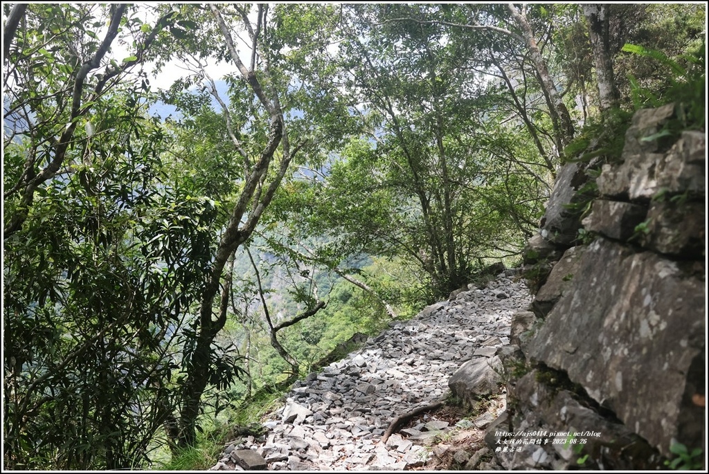 錐麓古道-2023-08-26-69.jpg 錐麓古道-2023-08-26-69.jpg