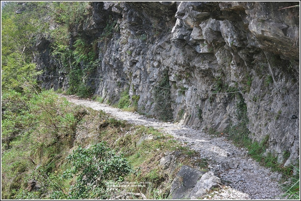 錐麓古道-2023-08-26-72.jpg 錐麓古道-2023-08-26-72.jpg