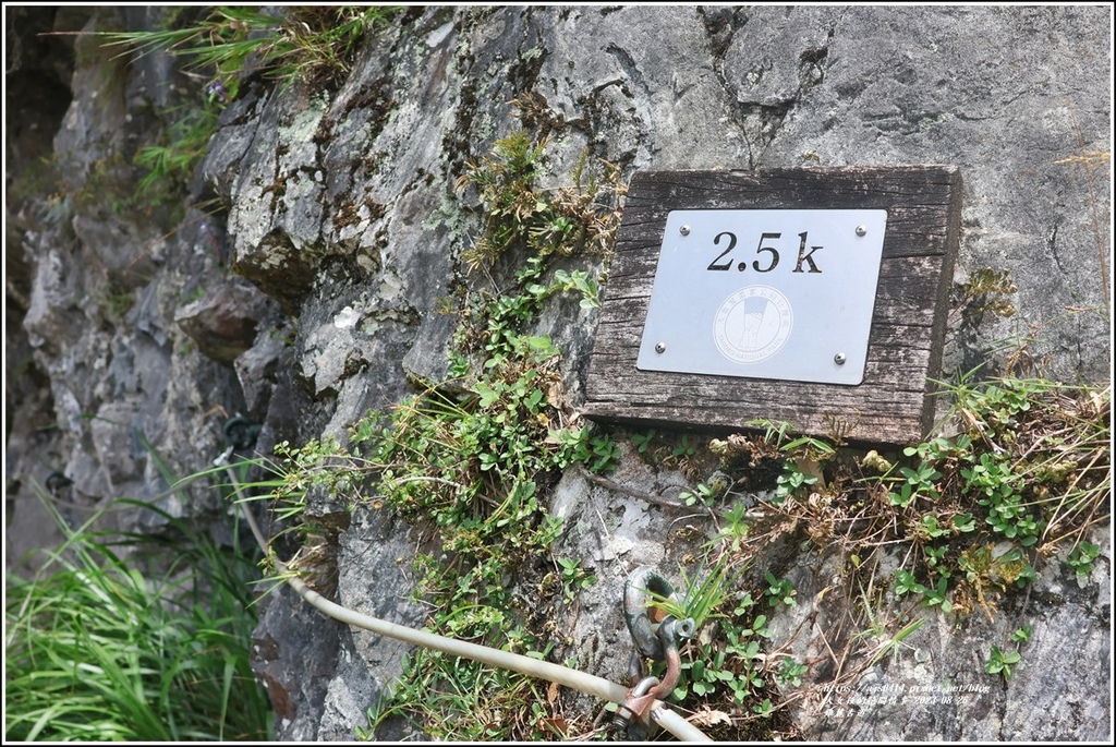 錐麓古道-2023-08-26-71.jpg 錐麓古道-2023-08-26-71.jpg