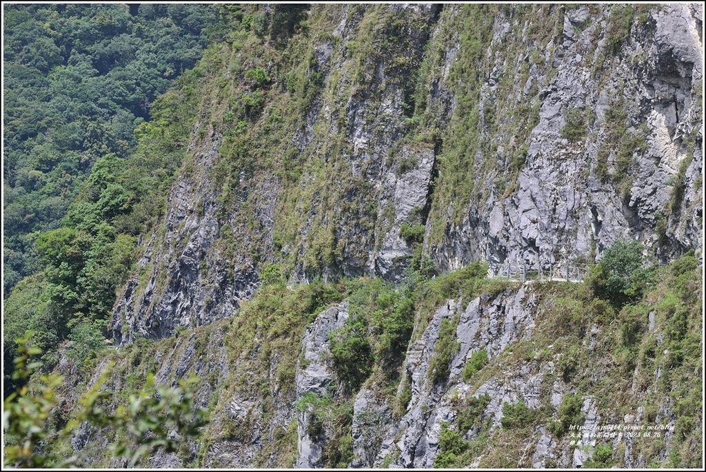 錐麓古道-2023-08-26-74.jpg 錐麓古道-2023-08-26-74.jpg