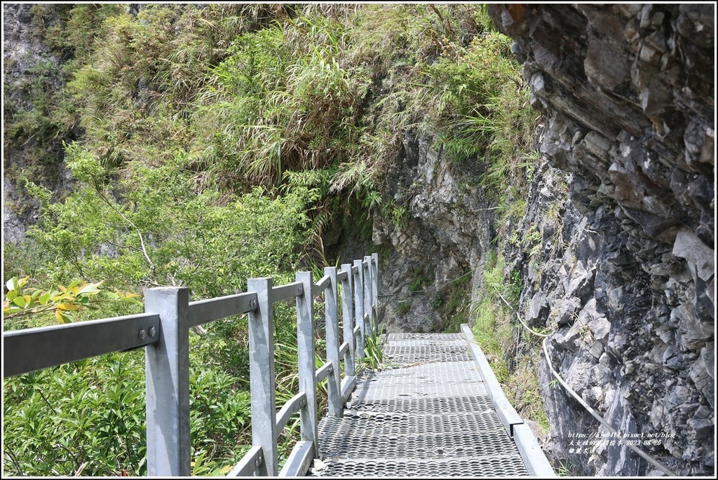 錐麓古道-2023-08-26-110.jpg 錐麓古道-2023-08-26-110.jpg