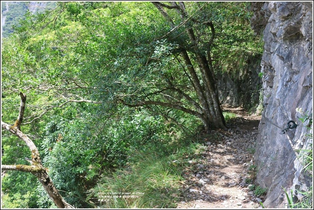 錐麓古道-2023-08-26-119.jpg 錐麓古道-2023-08-26-119.jpg