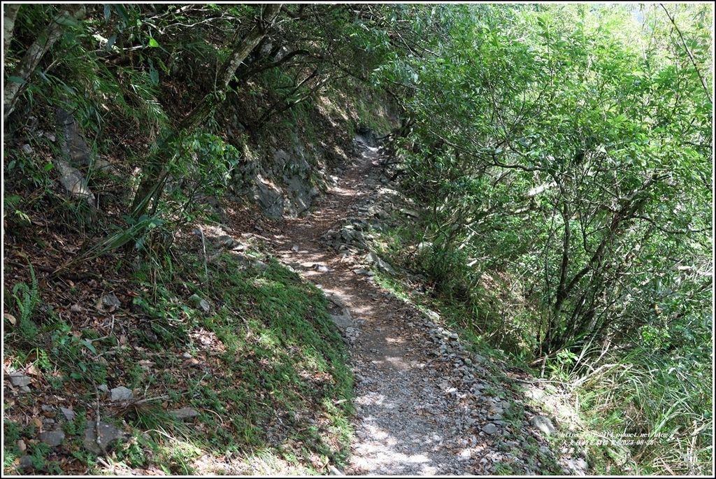 錐麓古道-2023-08-26-139.jpg 錐麓古道-2023-08-26-139.jpg