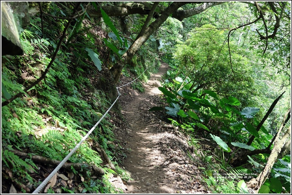 錐麓古道-2023-08-26-142.jpg 錐麓古道-2023-08-26-142.jpg