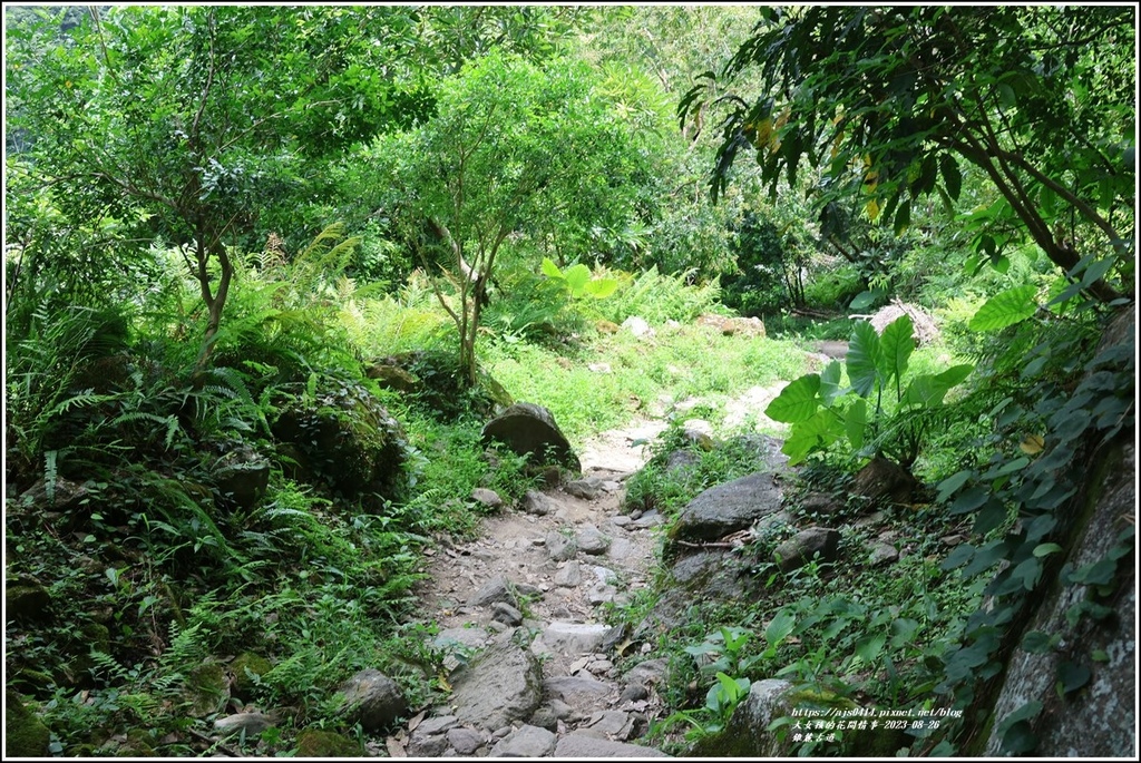 錐麓古道-2023-08-26-155.jpg 錐麓古道-2023-08-26-155.jpg