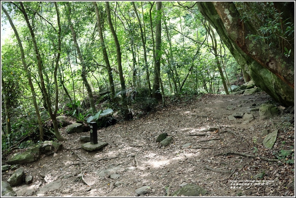 錐麓古道-2023-08-26-158.jpg 錐麓古道-2023-08-26-158.jpg