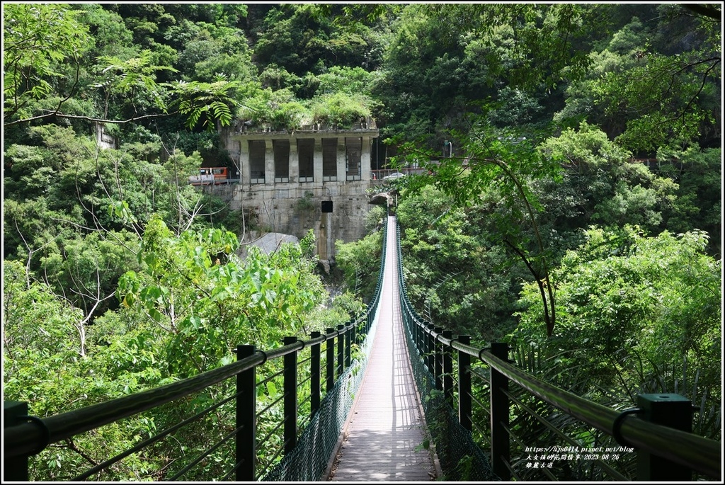 錐麓古道-2023-08-26-162.jpg 錐麓古道-2023-08-26-162.jpg