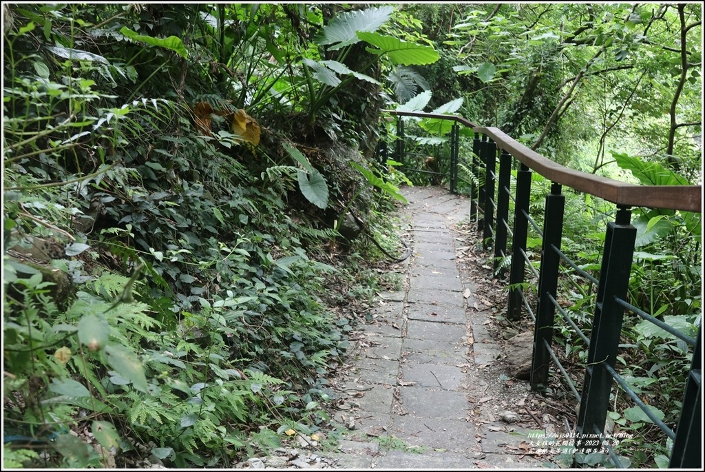 花蓮絕美步道(伊達邵步道)-2023-08-26-03.jpg