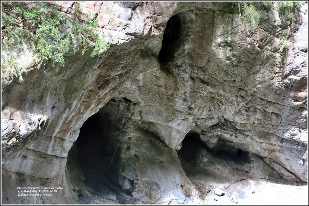 花蓮絕美步道(燕子口步道)-2023-08-26-03.jpg