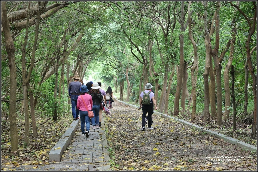 崎頂子母隧道-2023-09-09-27.jpg 崎頂子母隧道-2023-09-09-27.jpg