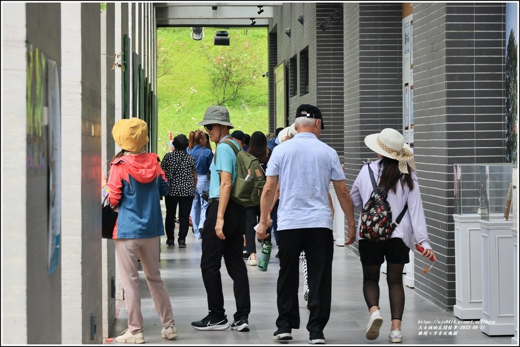 雅聞七里香玫瑰園-2023-09-11-06.jpg