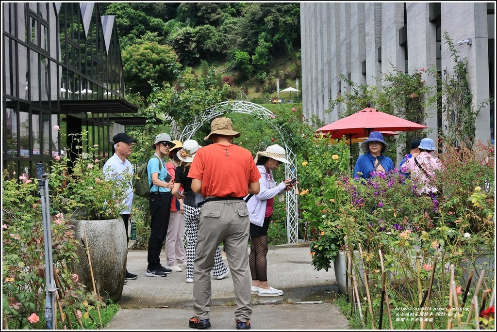 雅聞七里香玫瑰園-2023-09-11-05.jpg