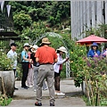 雅聞七里香玫瑰園-2023-09-11-05.jpg