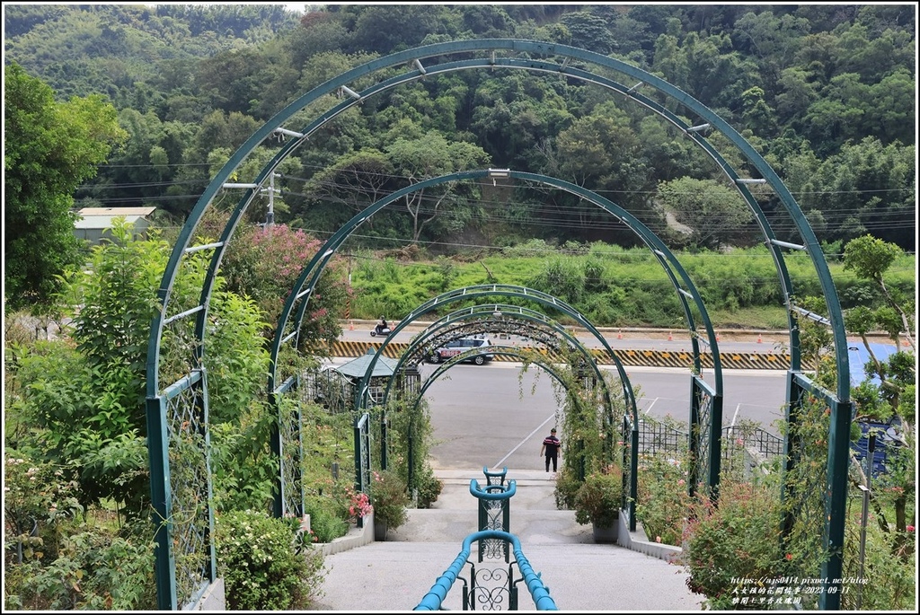 雅聞七里香玫瑰園-2023-09-11-61.jpg