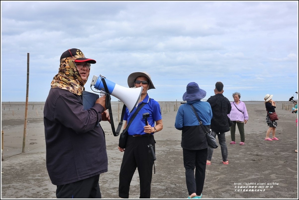 王功生態旅遊觀光採蚵車-2023-09-10-23.jpg 王功生態旅遊觀光採蚵車-2023-09-10-23.jpg