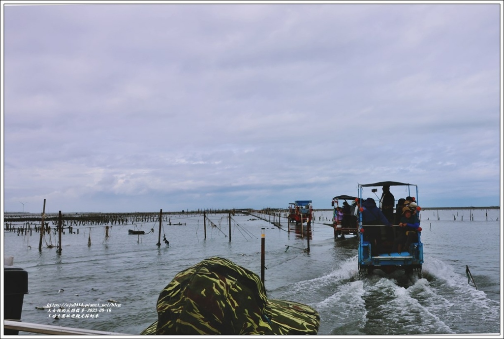 王功生態旅遊觀光採蚵車-2023-09-10-22.jpg