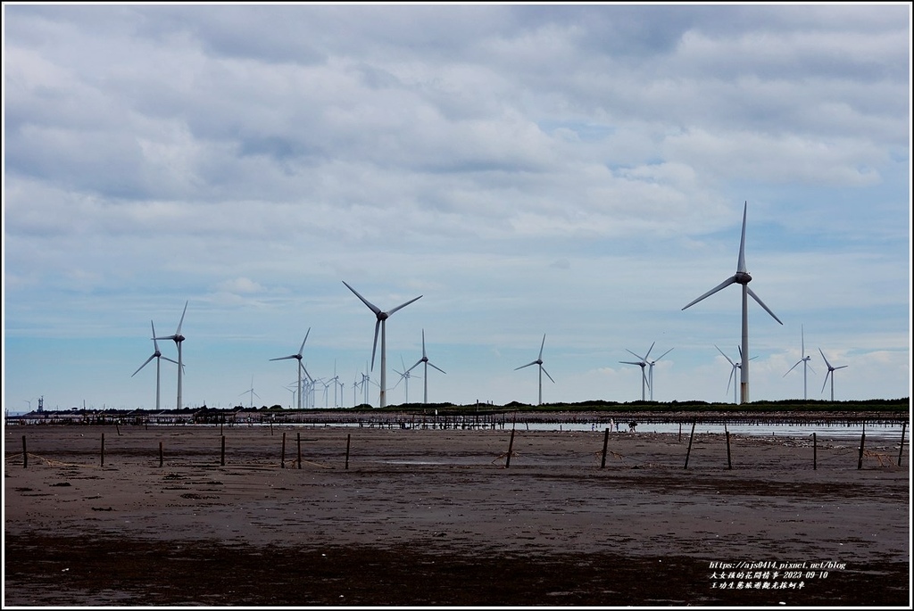 王功生態旅遊觀光採蚵車-2023-09-10-29.jpg 王功生態旅遊觀光採蚵車-2023-09-10-29.jpg