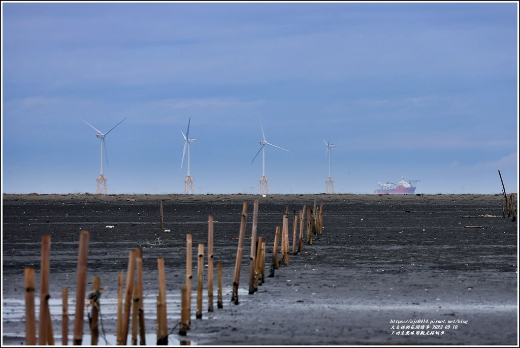 王功生態旅遊觀光採蚵車-2023-09-10-32.jpg 王功生態旅遊觀光採蚵車-2023-09-10-32.jpg