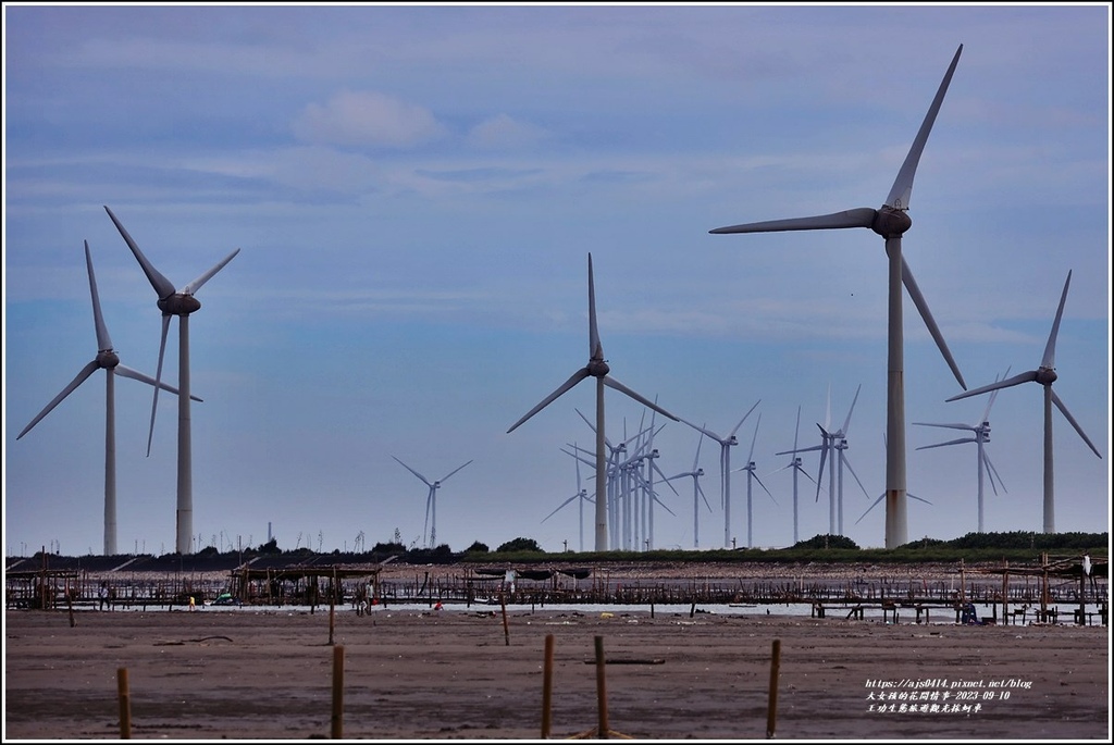 王功生態旅遊觀光採蚵車-2023-09-10-31.jpg 王功生態旅遊觀光採蚵車-2023-09-10-31.jpg