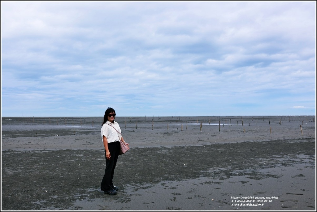 王功生態旅遊觀光採蚵車-2023-09-10-36.jpg 王功生態旅遊觀光採蚵車-2023-09-10-36.jpg