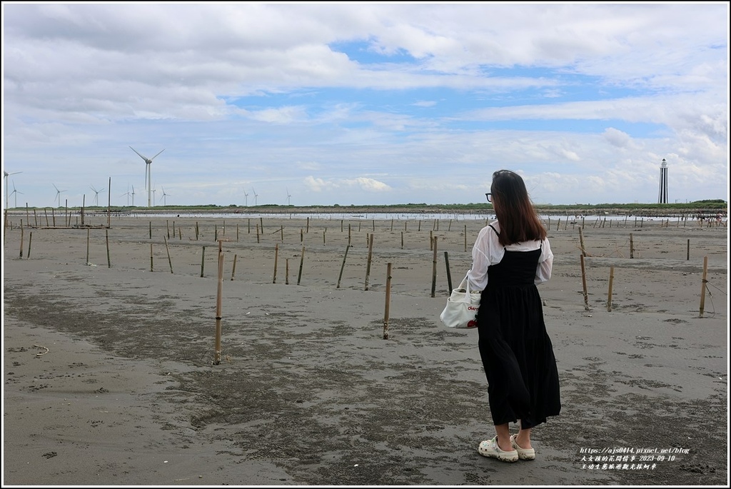王功生態旅遊觀光採蚵車-2023-09-10-39.jpg 王功生態旅遊觀光採蚵車-2023-09-10-39.jpg