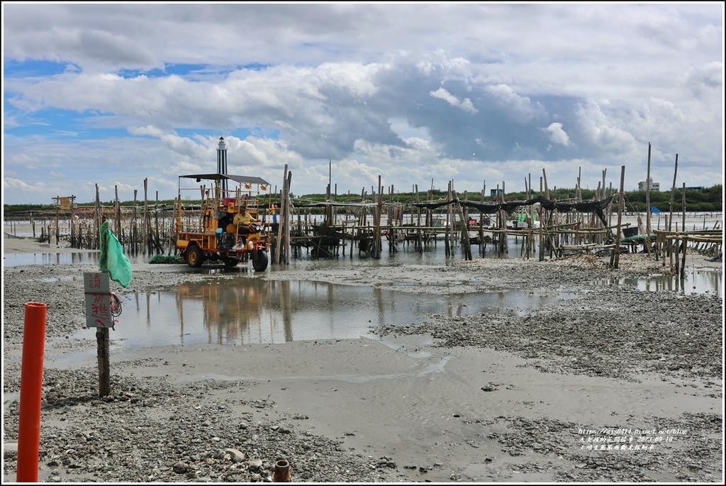 王功生態旅遊觀光採蚵車-2023-09-10-42.jpg 王功生態旅遊觀光採蚵車-2023-09-10-42.jpg