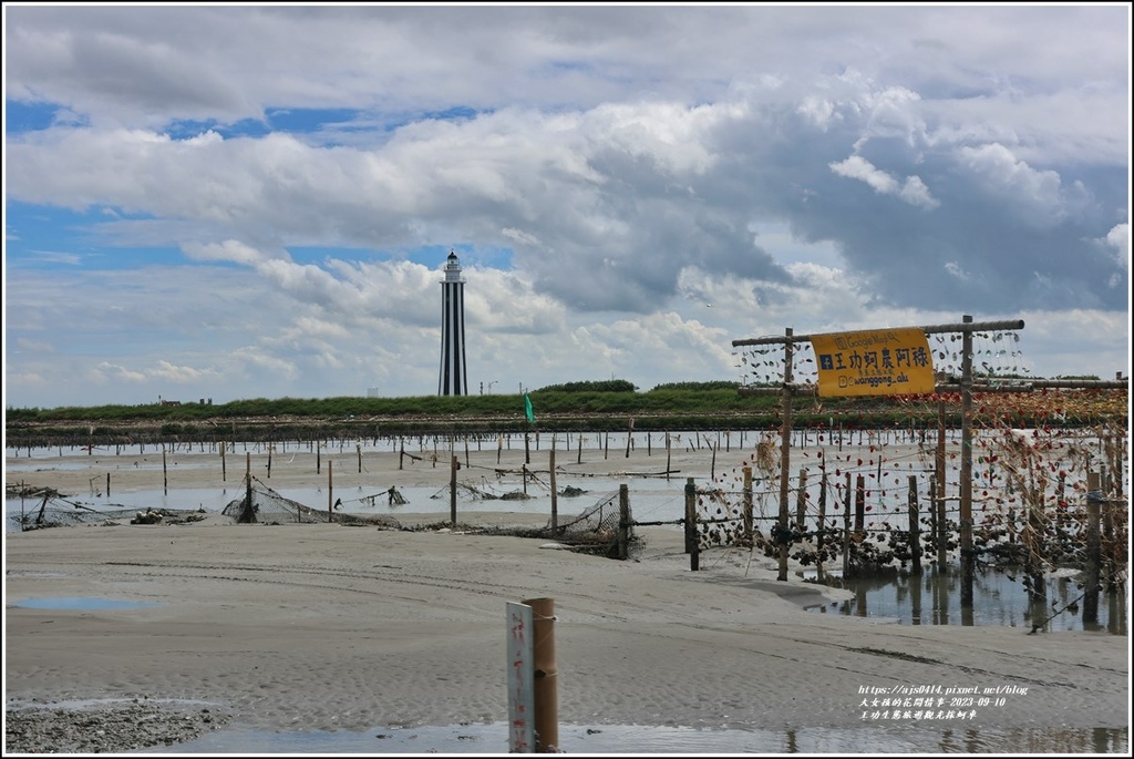 王功生態旅遊觀光採蚵車-2023-09-10-43.jpg 王功生態旅遊觀光採蚵車-2023-09-10-43.jpg