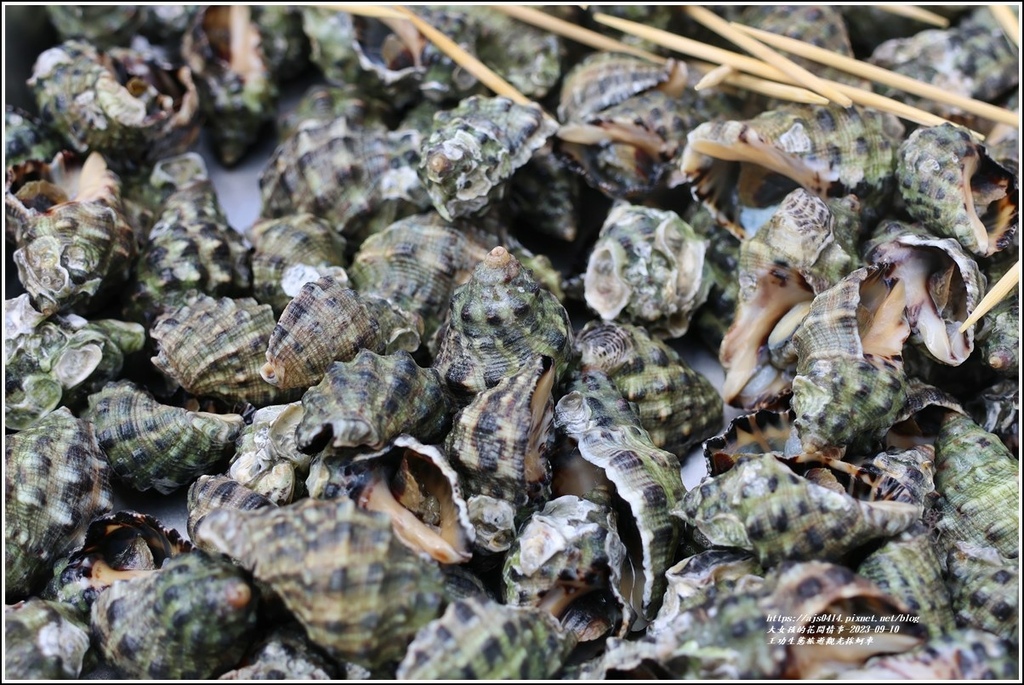 王功生態旅遊觀光採蚵車-2023-09-10-47.jpg 王功生態旅遊觀光採蚵車-2023-09-10-47.jpg