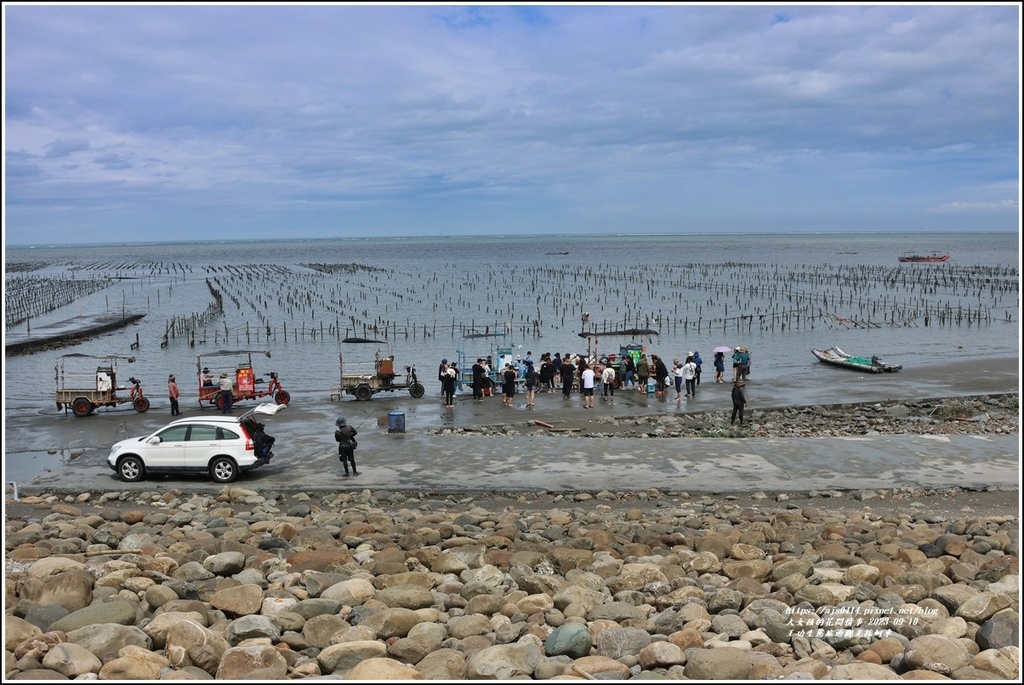 王功生態旅遊觀光採蚵車-2023-09-10-49.jpg 王功生態旅遊觀光採蚵車-2023-09-10-49.jpg