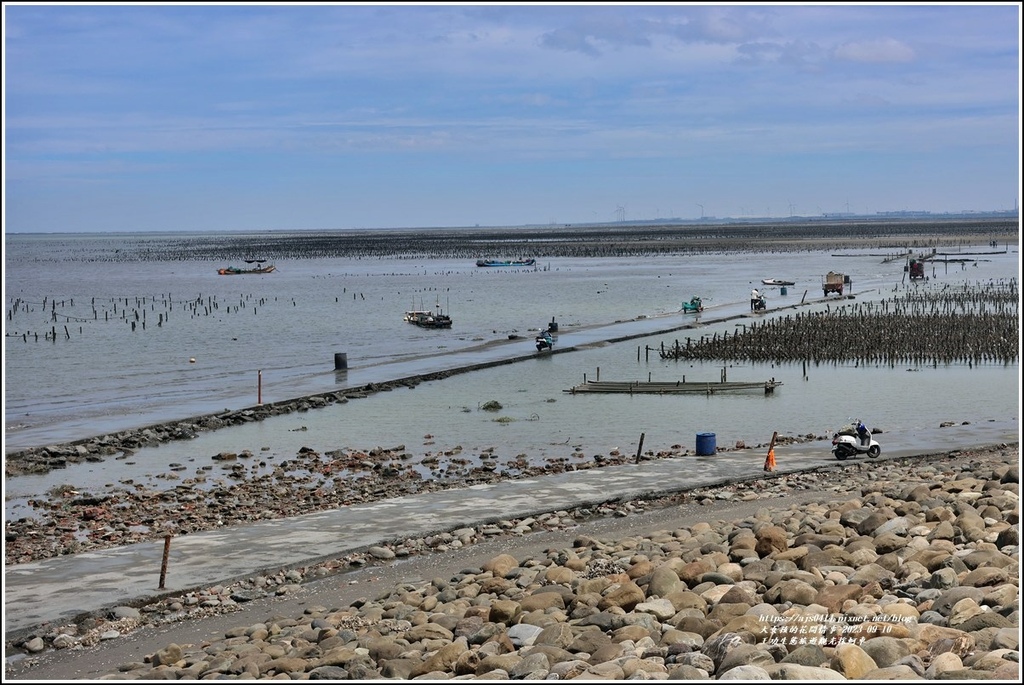 王功生態旅遊觀光採蚵車-2023-09-10-50.jpg 王功生態旅遊觀光採蚵車-2023-09-10-50.jpg