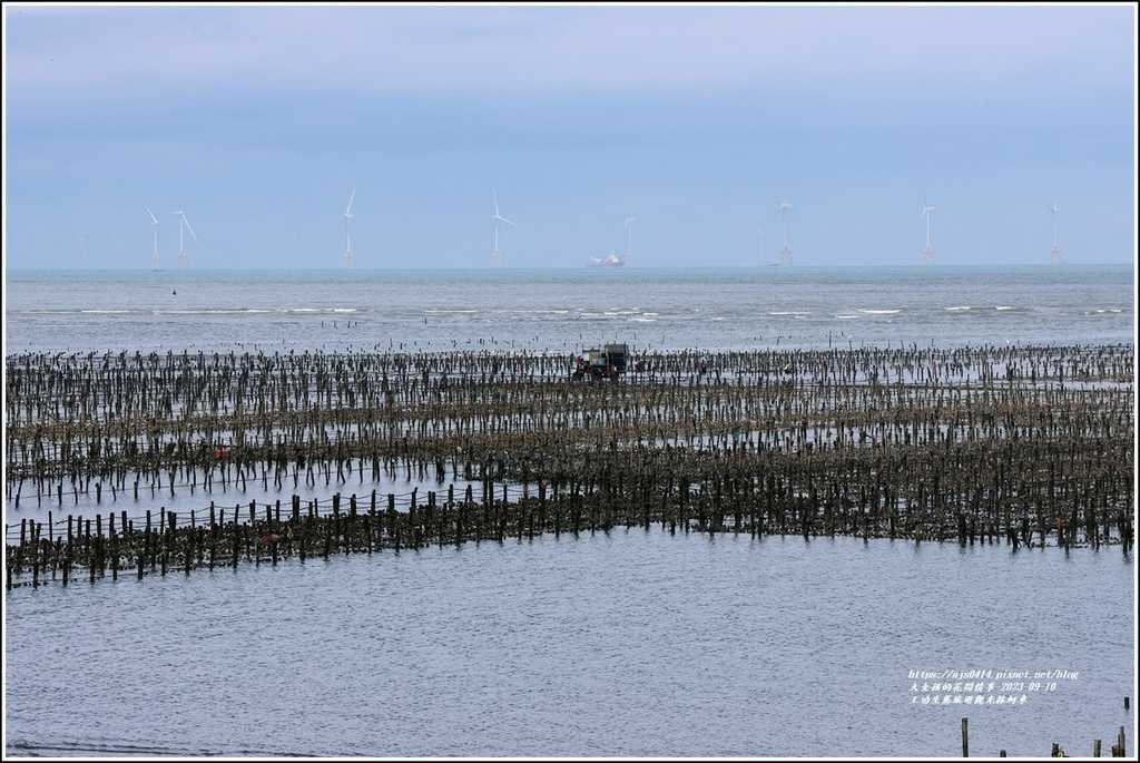 王功生態旅遊觀光採蚵車-2023-09-10-52.jpg 王功生態旅遊觀光採蚵車-2023-09-10-52.jpg