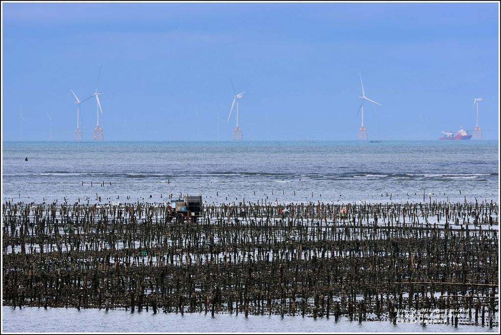 王功生態旅遊觀光採蚵車-2023-09-10-56.jpg 王功生態旅遊觀光採蚵車-2023-09-10-56.jpg